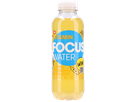 Focuswater Ananas & Mango active